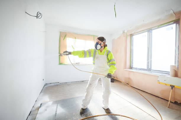 Best Asbestos and Lead Testing During Mold Inspection  in Wormleysburg, PA
