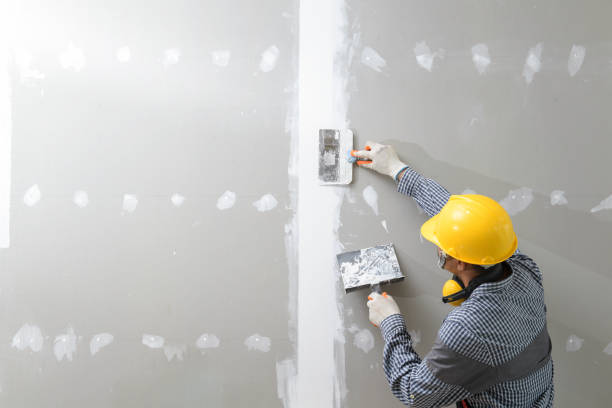 Best Biohazard Mold Removal  in Wormleysburg, PA