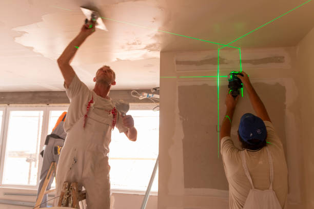 Best Black Mold Removal  in Wormleysburg, PA