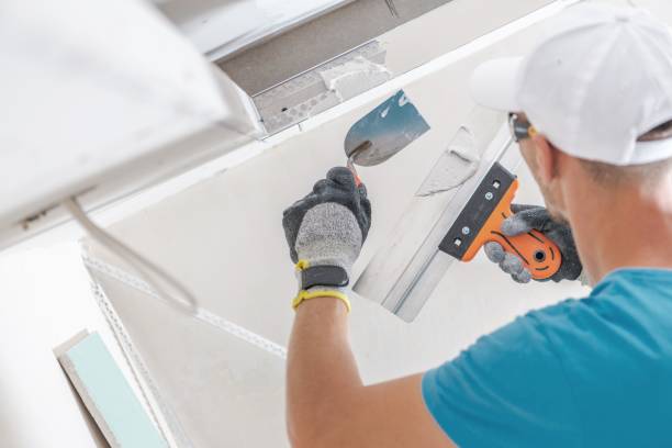 Best Mold Damage Restoration  in Wormleysburg, PA